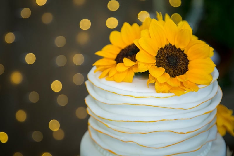 Planetary Cake Toppers